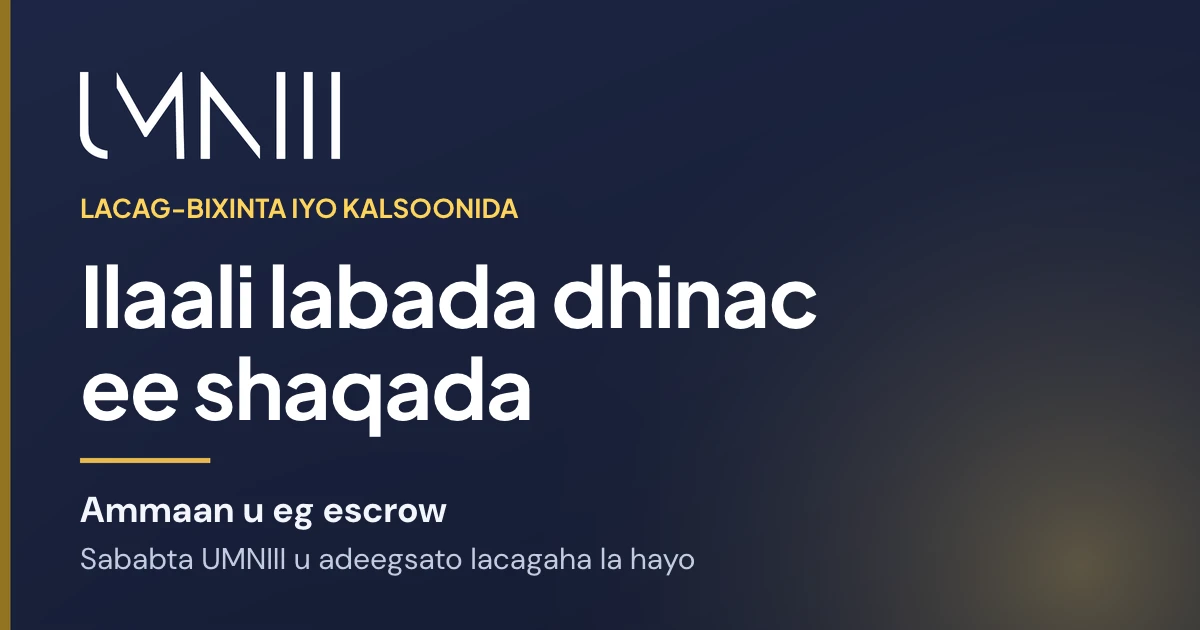 Kaar summadda UMNIII leh oo maqaalka ku saabsan lacag-bixinta la hayo iyo ilaalinta shaqada ee suuqa UMNIII