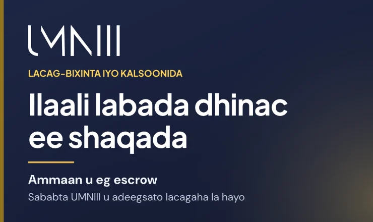 Kaar summadda UMNIII leh oo maqaalka ku saabsan lacag-bixinta la hayo iyo ilaalinta shaqada ee suuqa UMNIII