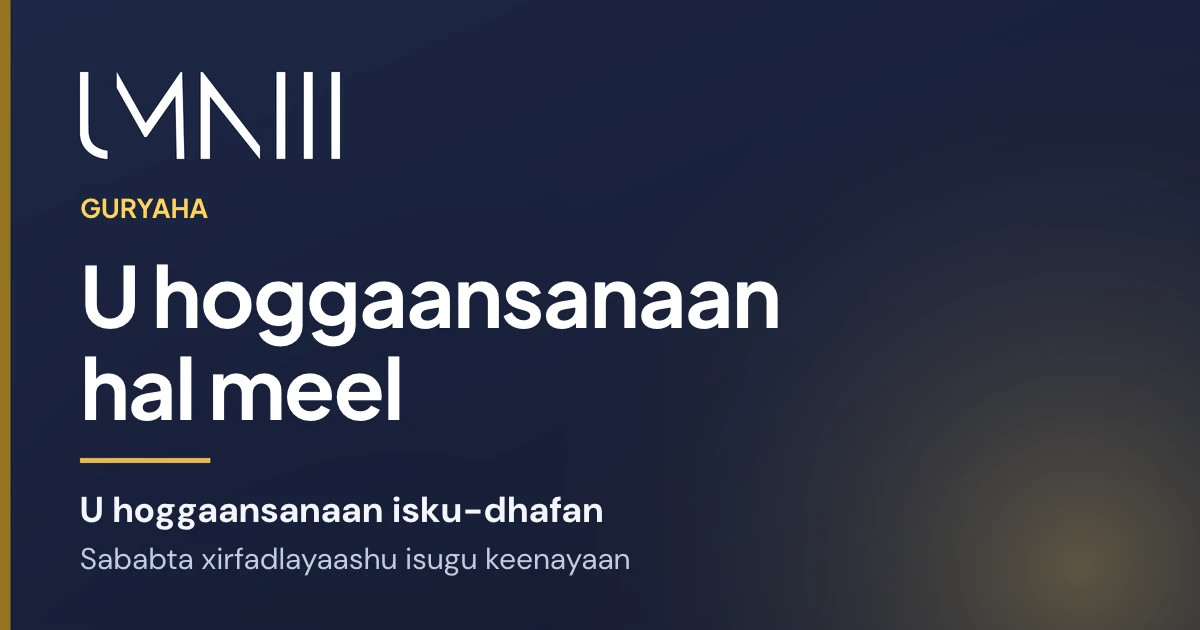Kaar summadda UMNIII leh oo maqaalka ku saabsan xirfadlayaasha hantida ee u guuraya madalaha u hoggaansanaanta isku-dhafan