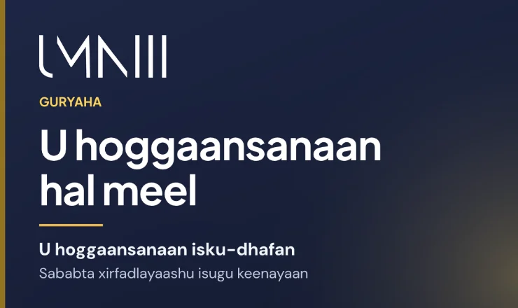 Kaar summadda UMNIII leh oo maqaalka ku saabsan xirfadlayaasha hantida ee u guuraya madalaha u hoggaansanaanta isku-dhafan